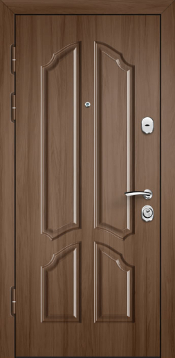 Фото «Дверь Порошок №54»