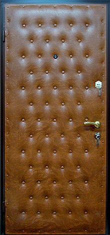 Фото «Дверь Ламинат №1»