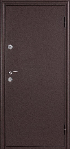 Фото «Дверь с зеркалом №15»