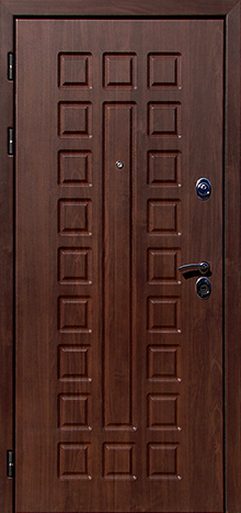 Фото «Уличная дверь №18»