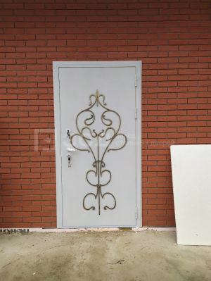 Шумоизоляционная дверь с порошковым напылением и ковкой - фото
